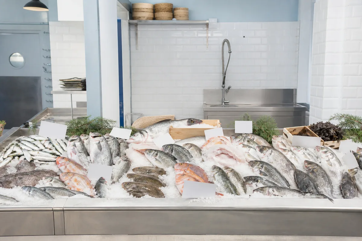 Étal de poissonnerie avec poissons entiers sur glace et étiquettes d’origine